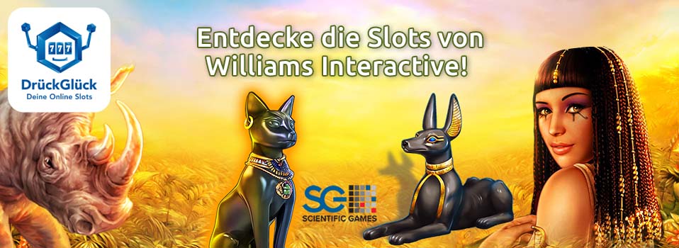 Entdecke die Slots von Williams Interactive!